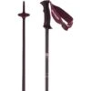 Salomon Angel S3 Alpine Ski Poles - Women's